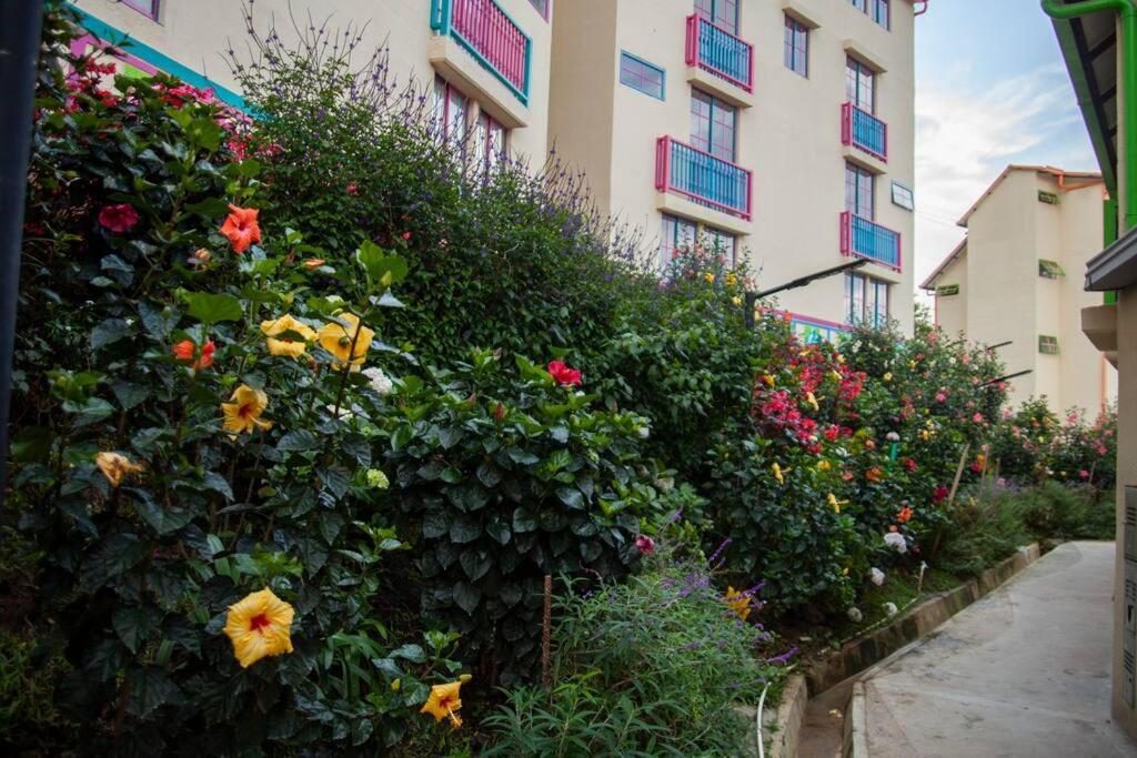 Guatapé Duplex Familiar Apartment Nature מראה חיצוני תמונה