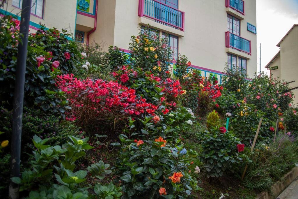 Guatapé Duplex Familiar Apartment Nature מראה חיצוני תמונה